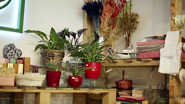 盆子和花瓶都在柜台上。视频下载
