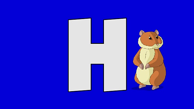 字母H和仓鼠(背景)视频素材