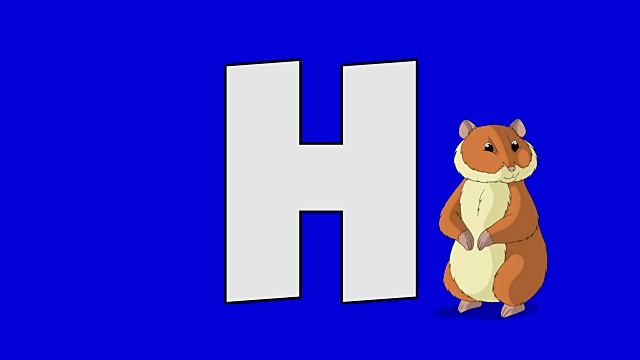 字母H和仓鼠(前景)视频素材