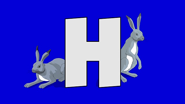 字母H和Hare(背景)视频素材