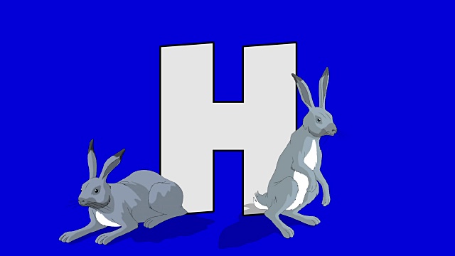 字母H和野兔(前景)视频素材