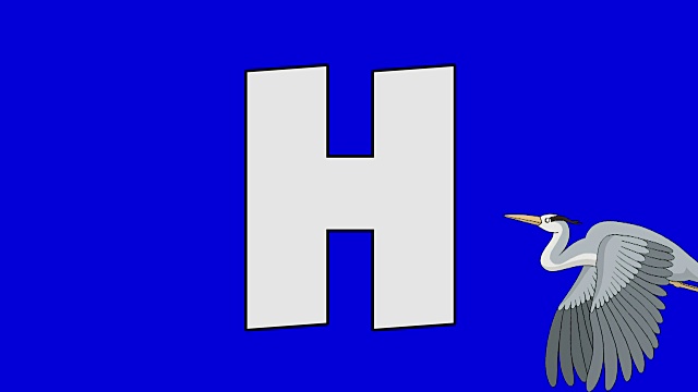 字母H和苍鹭(背景)视频素材
