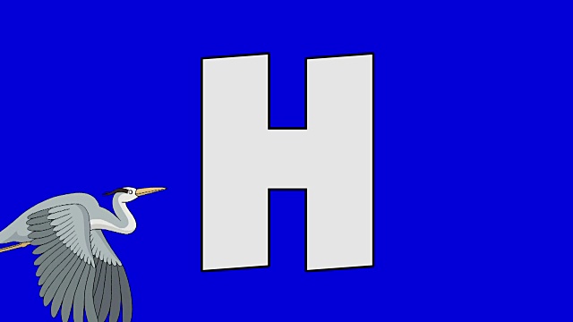 字母H和苍鹭(前景)视频素材