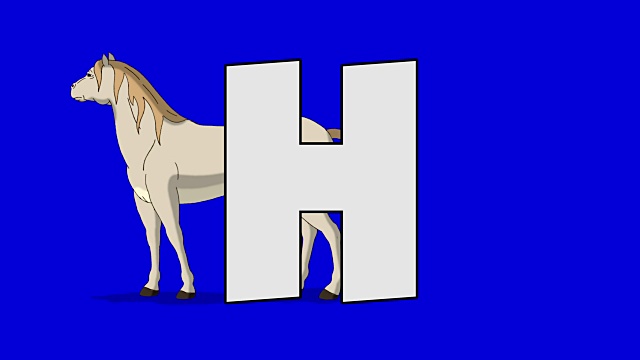 字母H和马(背景)视频素材