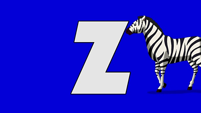 字母Z和斑马(背景)视频素材
