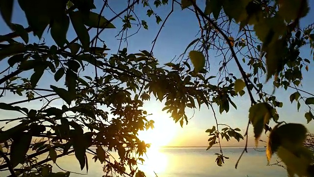沿着一个大湖的岸边散步。湖上美丽的日落。视频下载