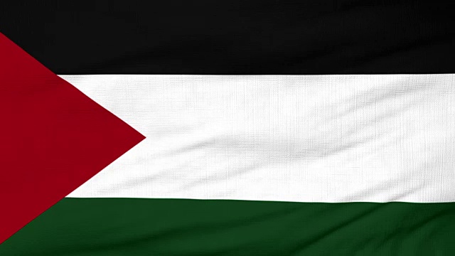 巴勒斯坦国旗迎风飘扬视频素材