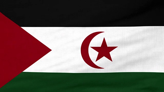 西撒哈拉国旗迎风飘扬视频素材