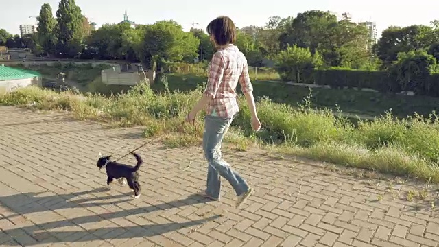 一个年轻女人带着一只有趣的小狗走在小路上视频素材