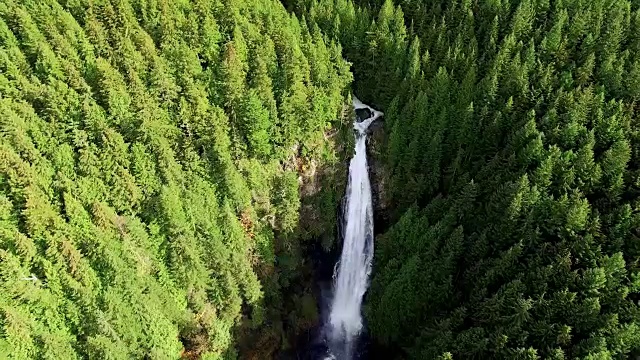 华莱士瀑布雄伟的森林风景视频素材