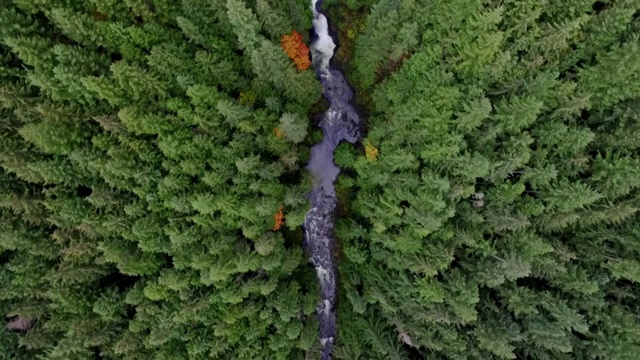空中的瀑布和河流急流深森林景观视频素材
