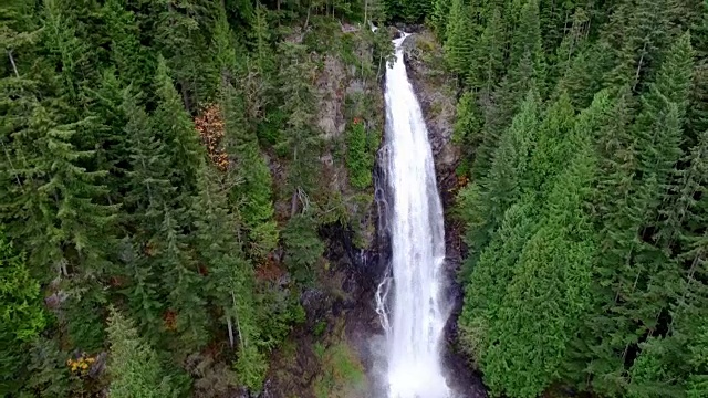 鸟瞰图瀑布在森林深处视频素材