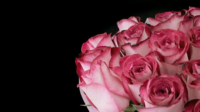 旋转一大束新鲜的玫瑰花蕾视频素材