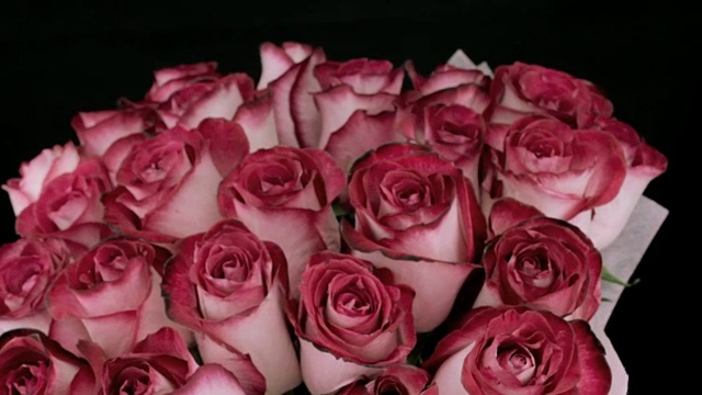旋转粉红玫瑰花蕾视频素材