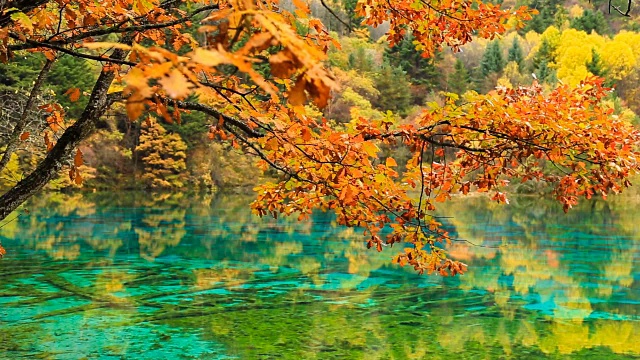 中国九寨沟的五彩湖，瀑布，森林，山脉视频购买