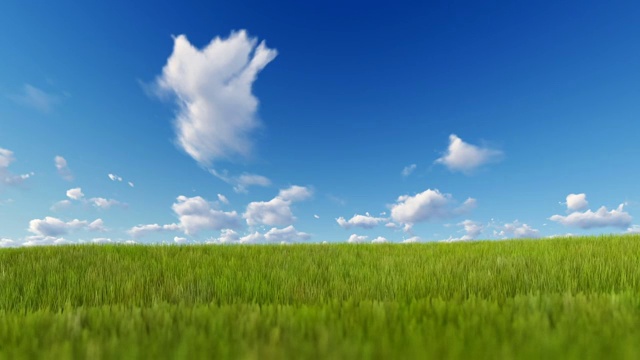 蓝色的天空上吹着青草，光洁的附着视频下载