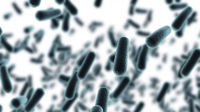 数字生成的细菌细胞在白色背景下流动视频下载