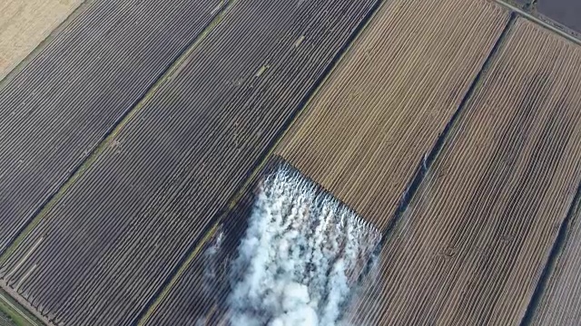 田里的稻秆燃烧。视频素材