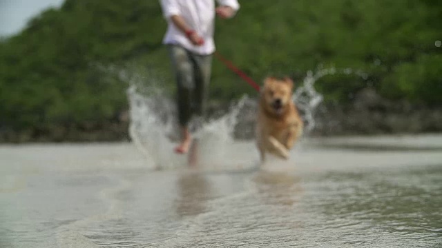 高清慢镜头:一个年轻人和他的狗在沙滩上奔跑。视频下载