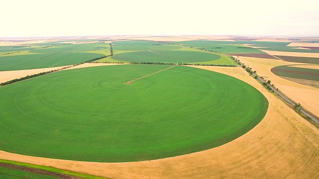 从一大片麦田高处看过去，形成一个圆圈。种植和灌溉土地视频下载