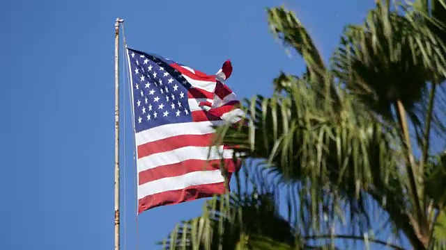 美国国旗在4K的风中飘扬视频素材