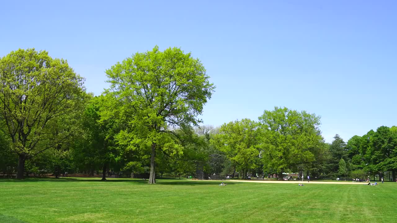 春天，纽约中央公园的大草坪上生长着新鲜的绿树。春风吹动新叶。视频下载