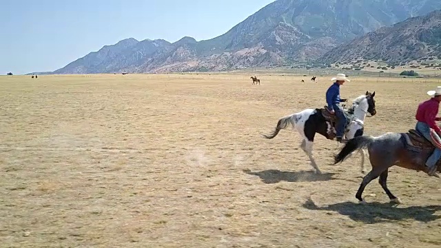 两个牛仔一起骑马的慢动作录像视频下载
