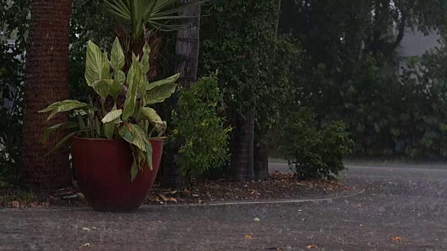 热带佛罗里达州下大雨视频下载