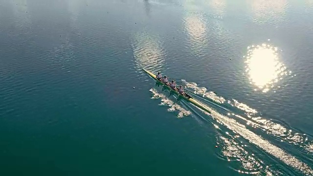 在阳光下，四名运动员在湖中划桨视频素材