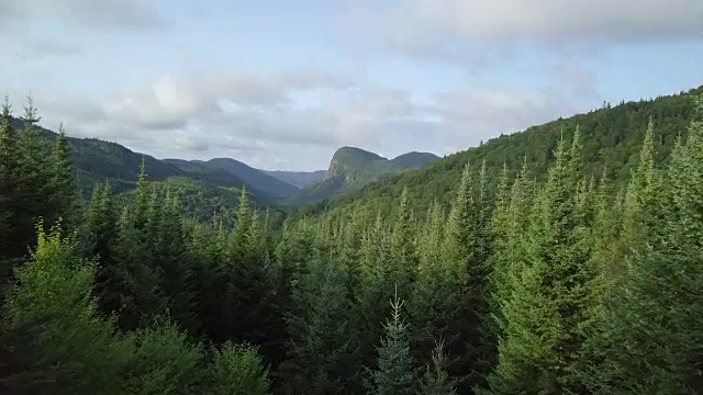 夏季北方自然森林和山地鸟瞰图视频购买