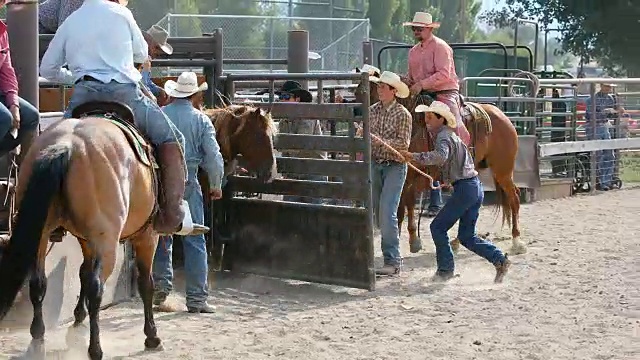 牛仔竞技会上骑着牛仔的牛仔视频下载