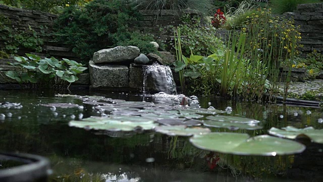 有瀑布和植物的花园池塘视频下载