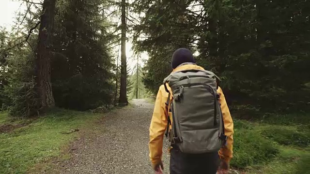 徒步旅行和探索森林地区的人视频下载