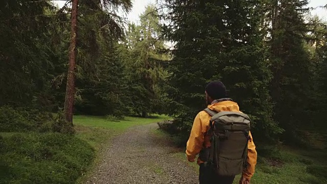 徒步旅行和探索森林地区的人视频下载