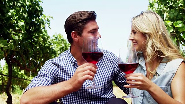 幸福的情侣在葡萄园里举杯共饮视频素材