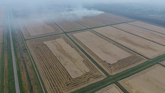 小麦收割后在田里燃烧秸秆视频素材