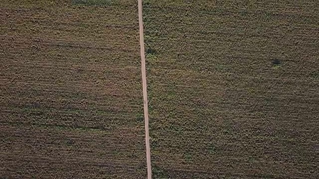 4K鸟瞰图的农田在圣华金山谷与I-5视频素材