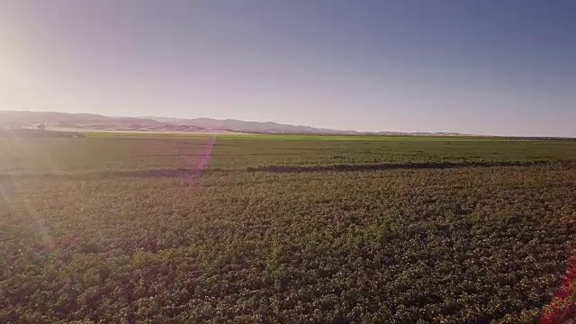 4K鸟瞰图的农田在圣华金谷视频素材