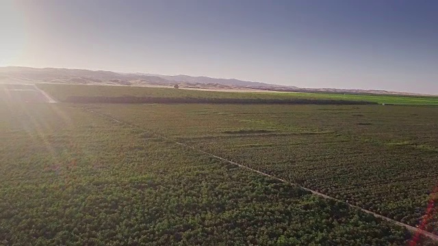 4K鸟瞰图的农田在圣华金谷视频素材