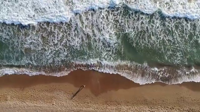 男人在海滩上慢跑的高角度视图视频下载