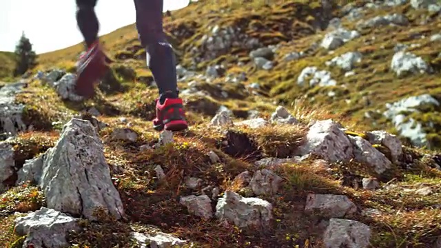 男人和女人在阳光下跑上高山高处的岩石草地视频素材