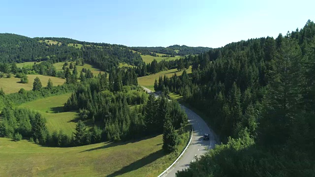 AERIAL: Black SUV car driving on road through spruce forest in lush countryside視頻素材