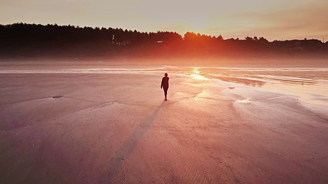 航拍的女人独自行走在华盛顿海岸偏远的海滩上视频素材