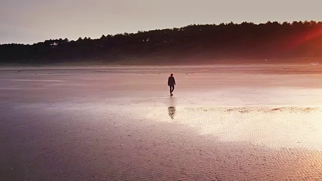 航拍的女人走在偏远的海滩上在日出视频素材