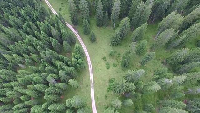 无人机拍摄的森林与徒步者攀登的道路视频下载