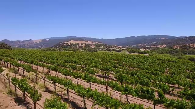 空中美丽的葡萄园日落视频素材