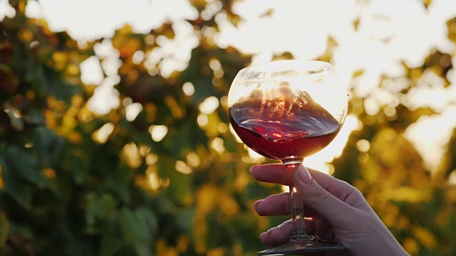 日落时分品酒。在葡萄园的背景下，手拿一杯红酒视频素材