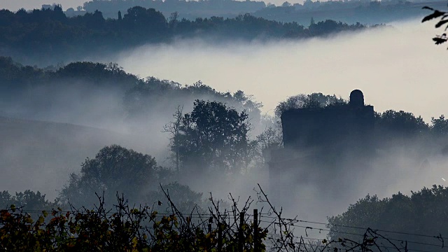 波尔多葡萄园在秋天的霜冻和雾气下，时光流逝视频素材