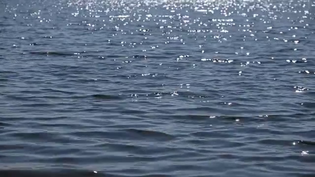 太阳在水面上的反射视频素材
