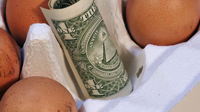美元在一个天然的新鲜鸡蛋包装视频素材